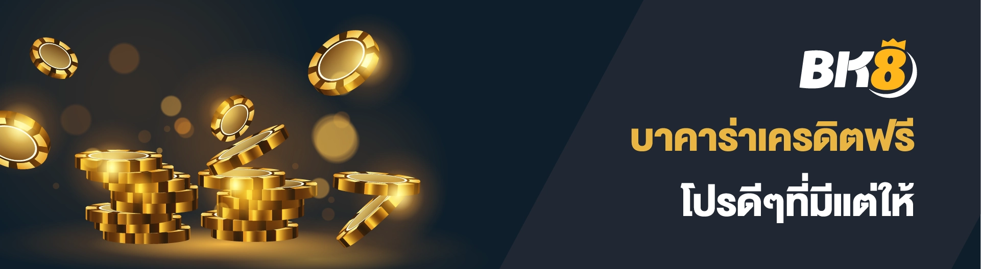 เครดิตฟรีบาคาร่า